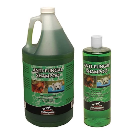 first-companion-anti-fungal-shampoo-1-gal-1