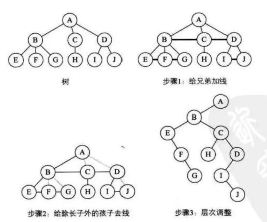 树 -> 二叉树