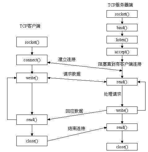 Socket在这里