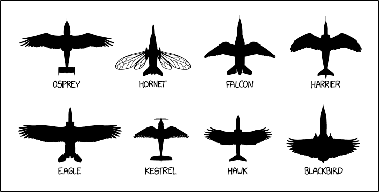 Be careful—it's breeding season, and some of these can be extremely defensive of their nests.