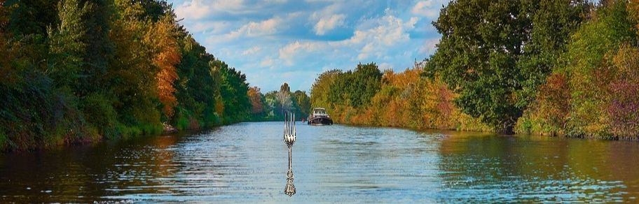 Fork in a river