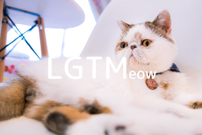 LGTMeow