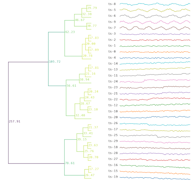 Dynamic Time Warping (DTW) hierarchical clusteringt