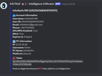 Discord Webhook Preview