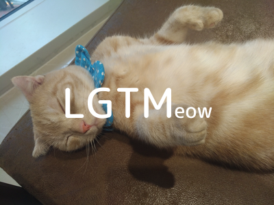 LGTMeow