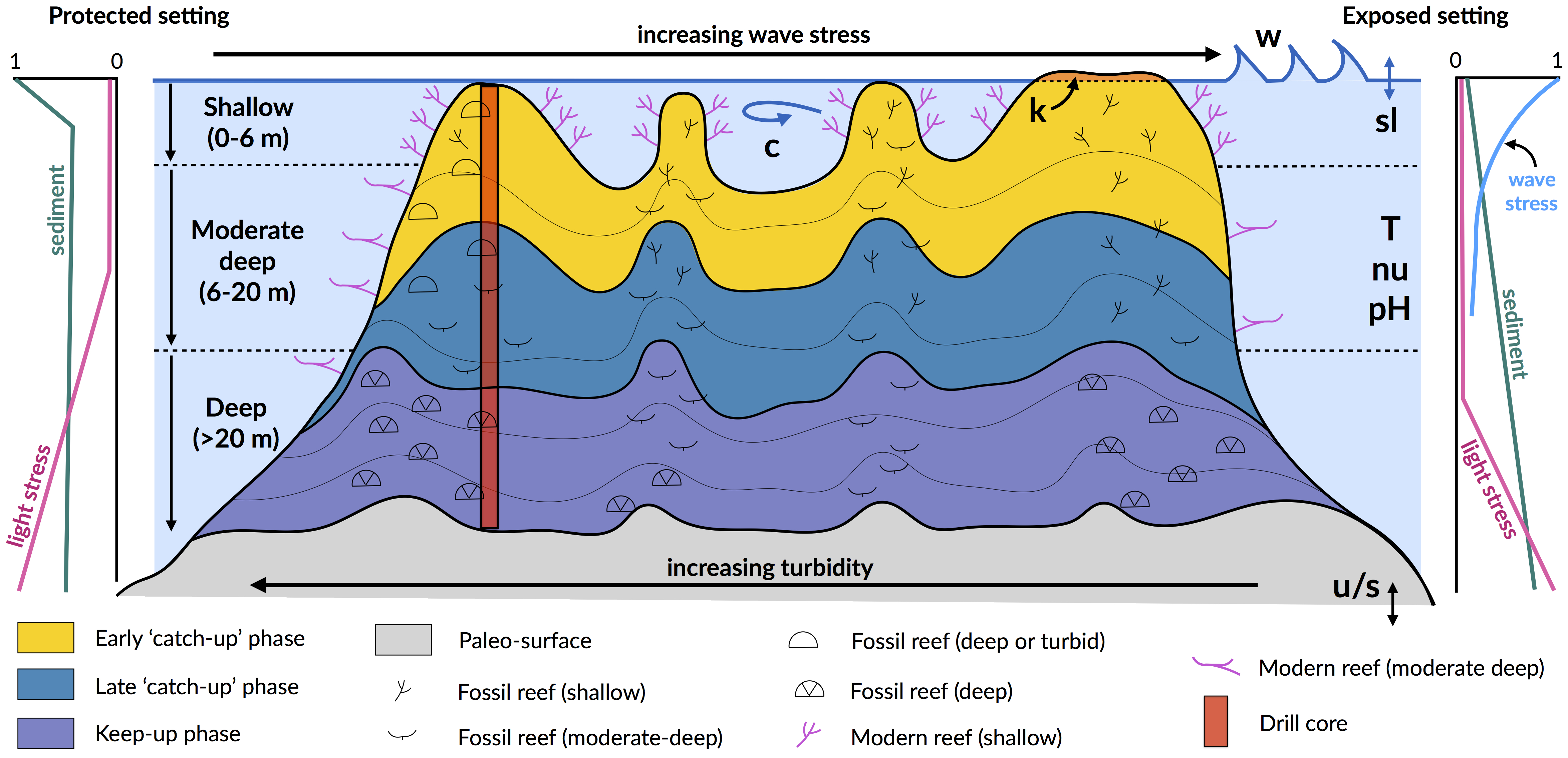 Schematic view