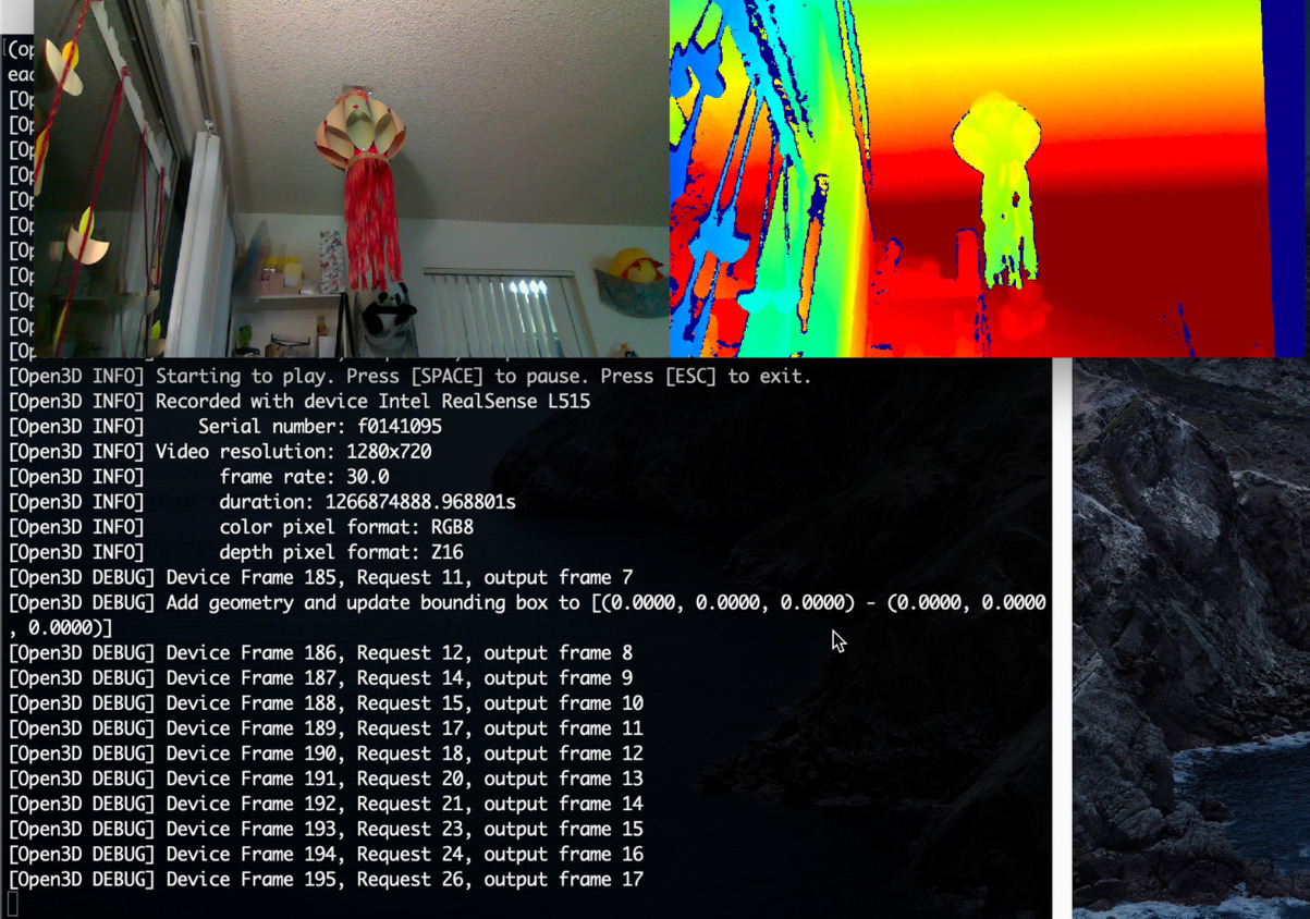 librealsense/wrappers/open3d at master · realsenseai/librealsense · GitHub