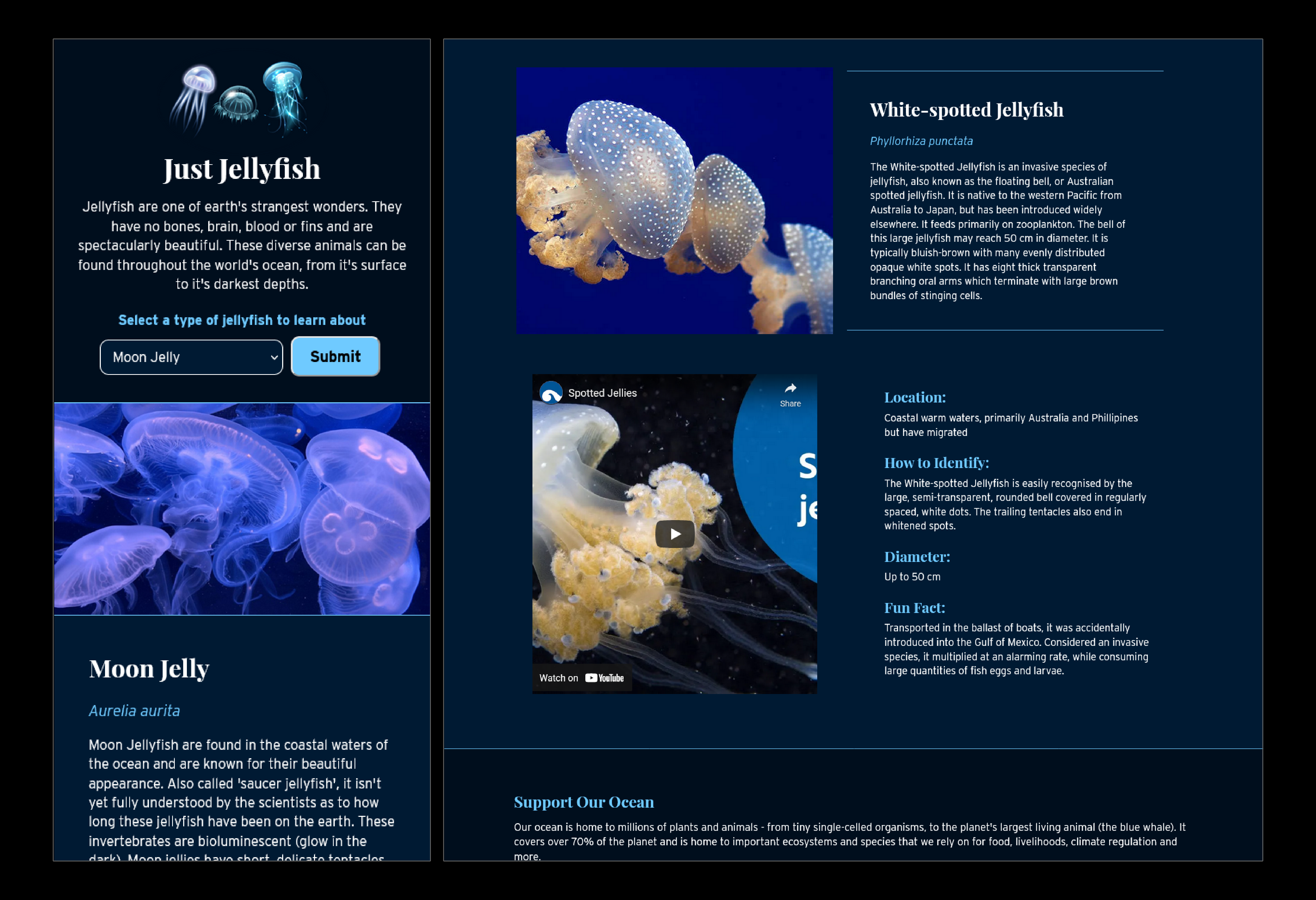 image of mobile jellyfish site featuring moon jellies beside desktop version with white spotted jellies