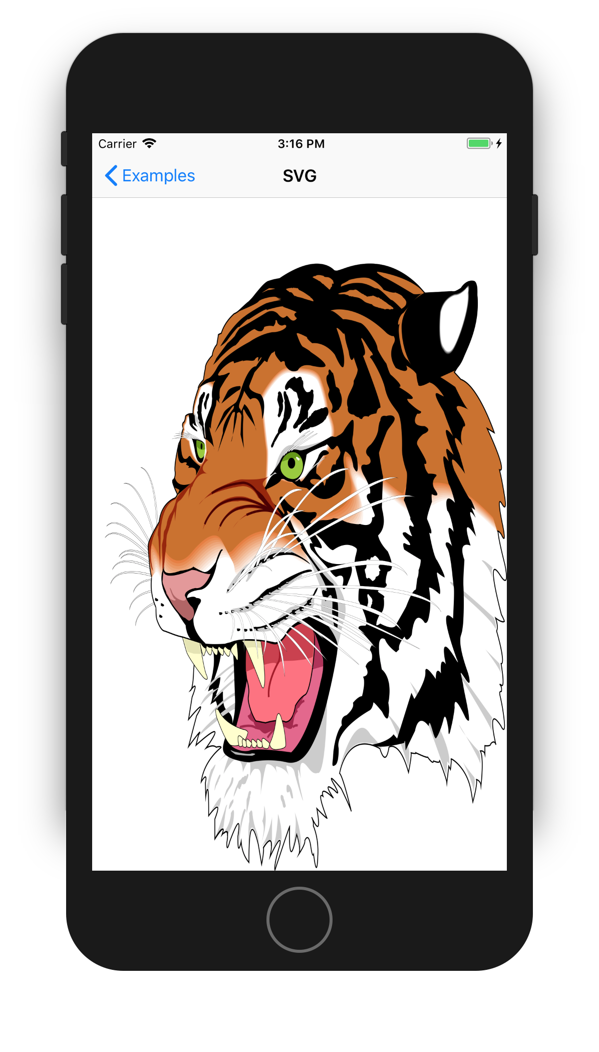 tiger