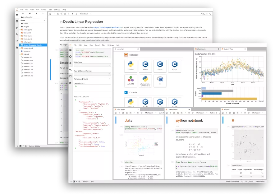 Jupyter Notebooks