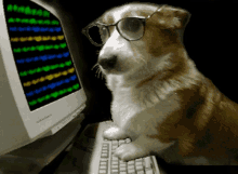 Dog-typing