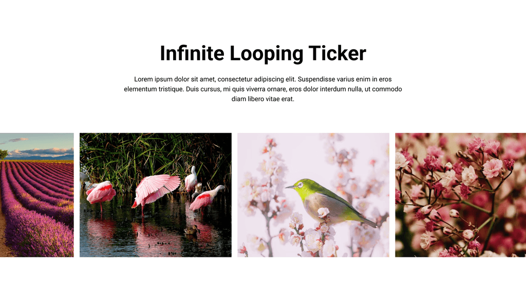Ticker (Infinite Loop)