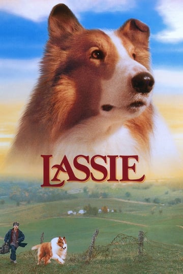 lassie-118381-1