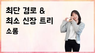 최단 경로 & 최소 신장 트리