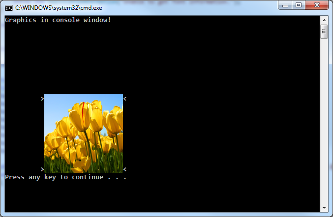 Image in Windows Console