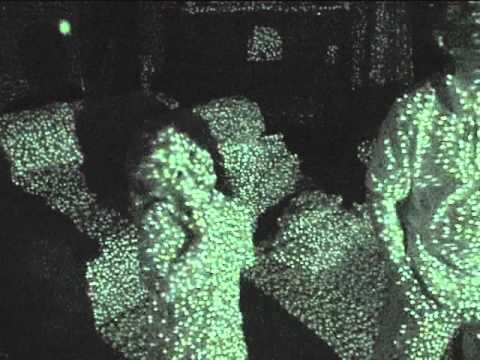 Kinect infrared dots