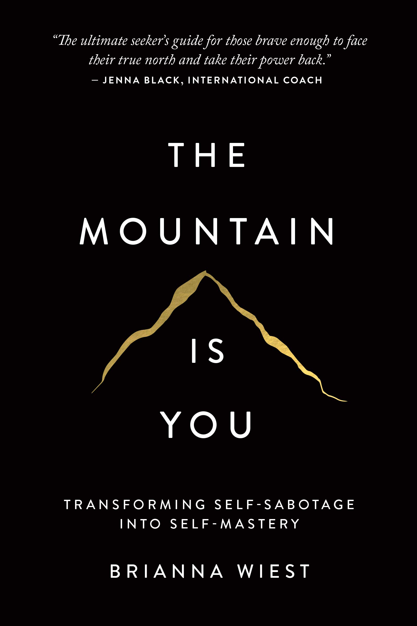 ebook download The Mountain Is You: Transforming Self-Sabotage Into Self-Mastery