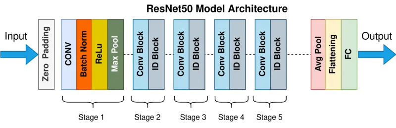 ResNet50 Architecture