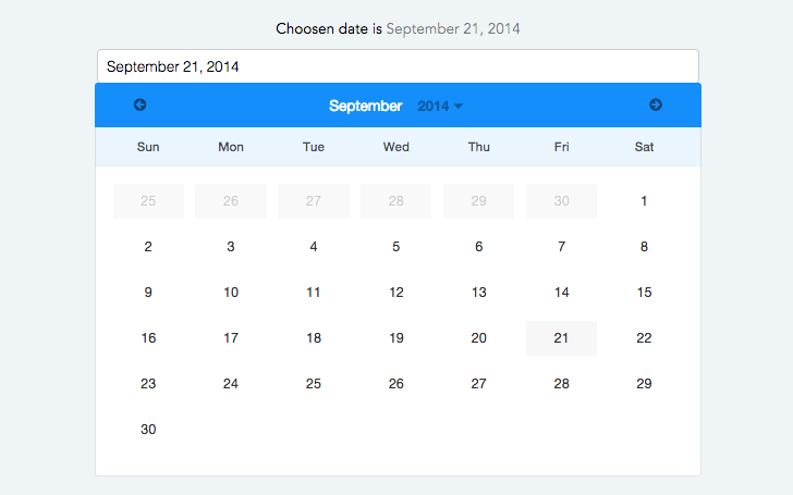 Angular datepicker calendar