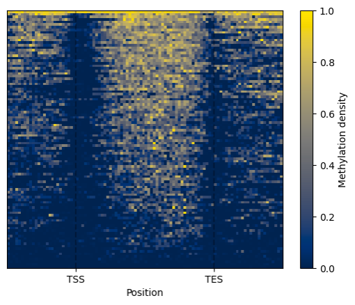 HeatMap