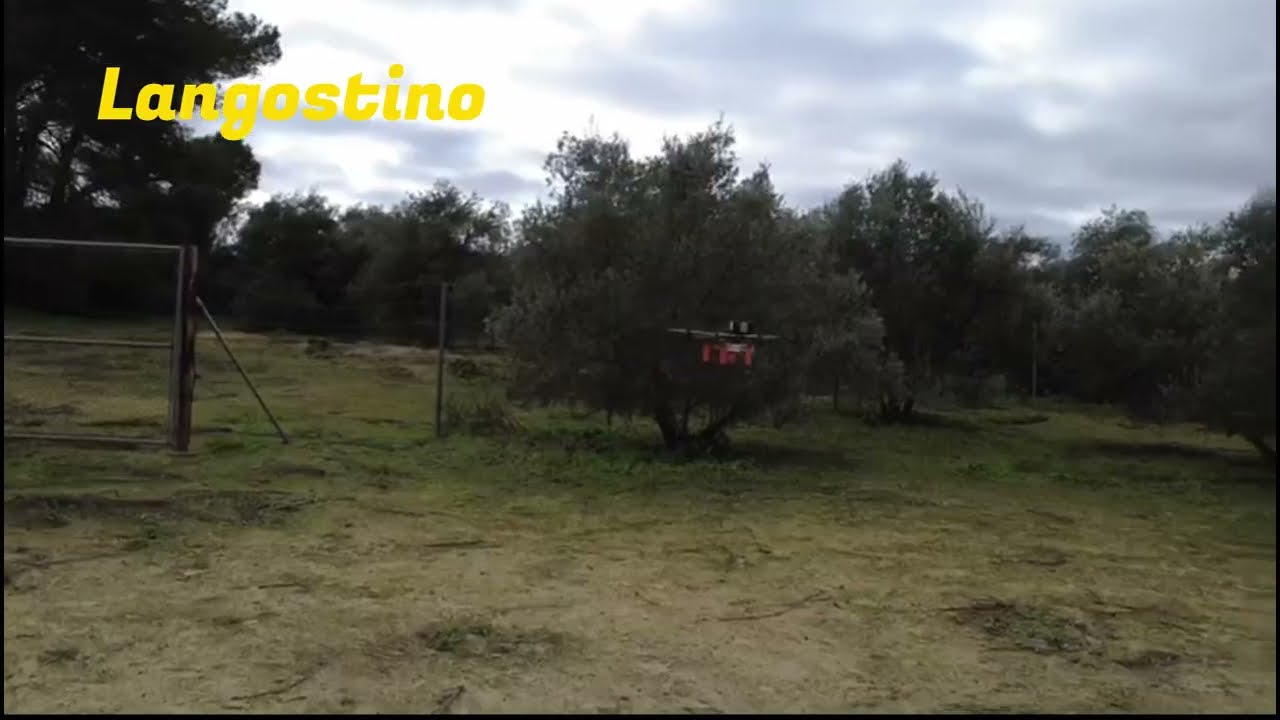 Fly it and improve it - click to watch