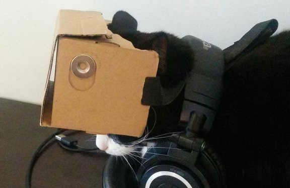 KittenVR