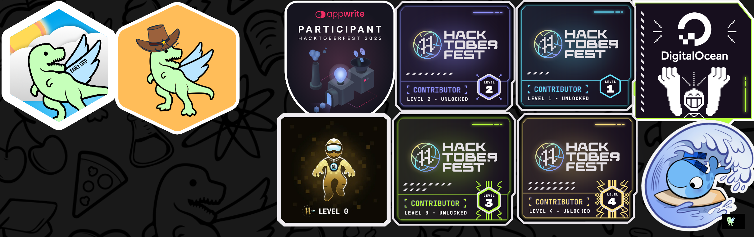 @Chiranjeev's Holopin board