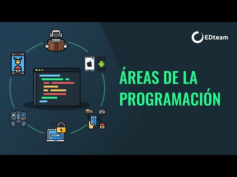 Ramas de la programación