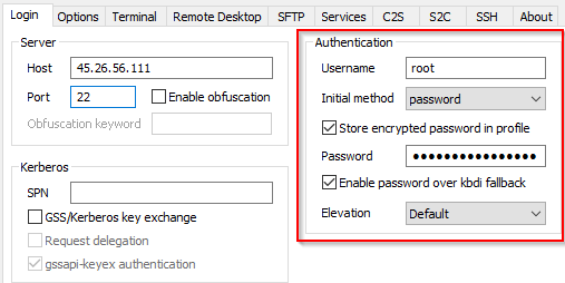 Example-BitvisePass