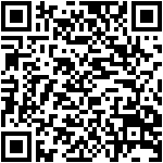 QR Preview