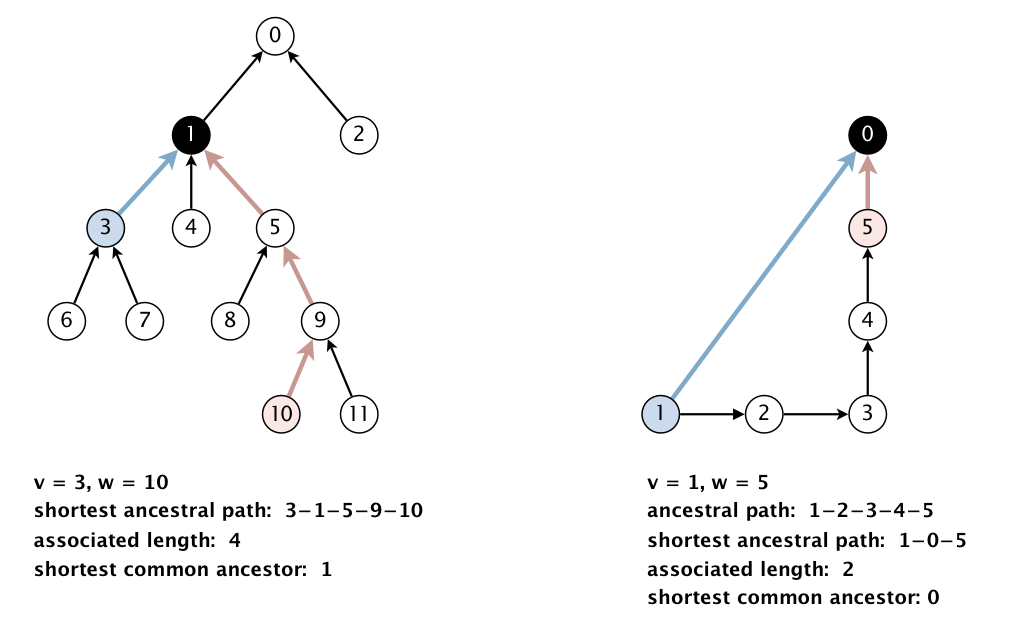 Ancestral path 1