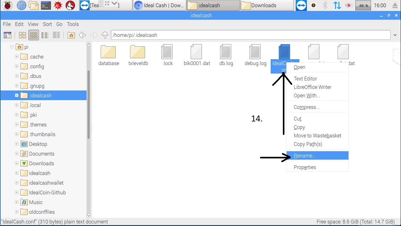 Right click IdealCash.conf and click rename