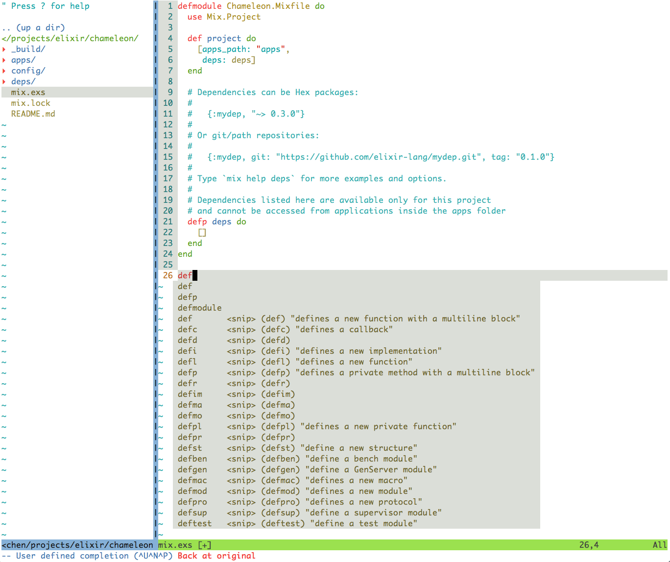 Screenshot of my vim