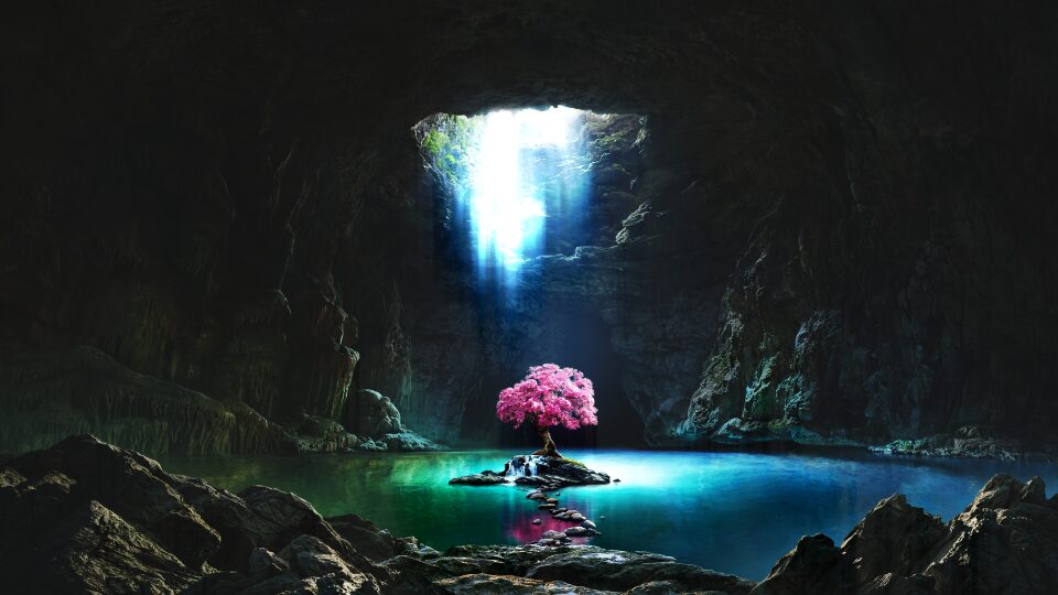 Tree of life