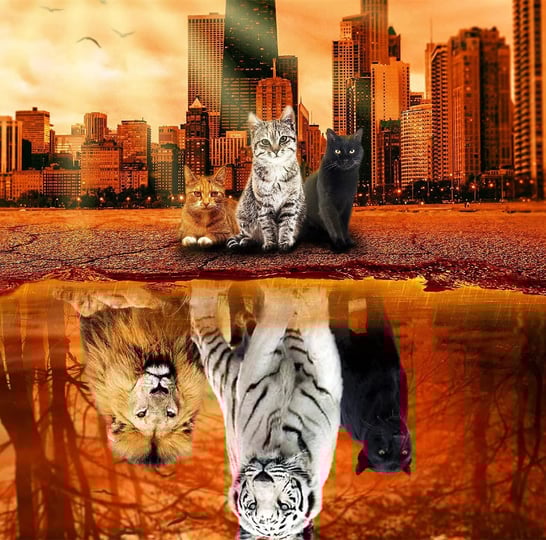 lzbabyily-jigsaw-puzzles-1000-pieces-puzzles-for-adults-cat-tiger-puzzle-animal-adult-toys-27x20-uni-1