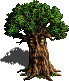 Tree of Knowledge