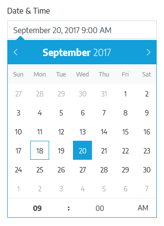 Datepicker