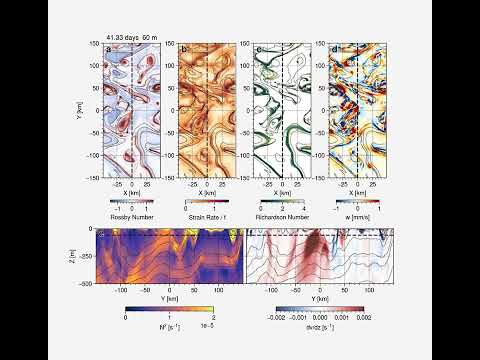 Submesoscale Fronts