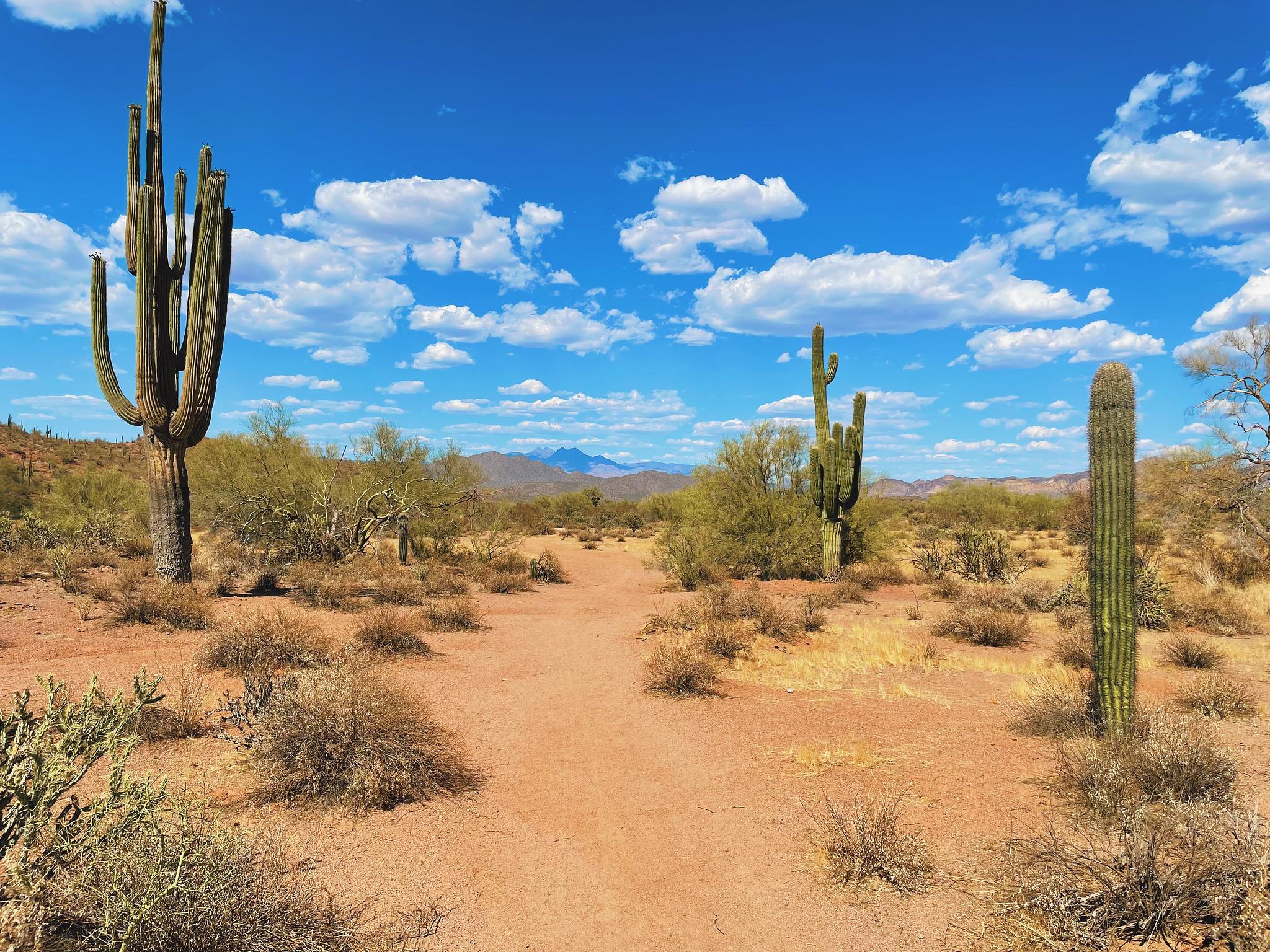 Four peaks shadows