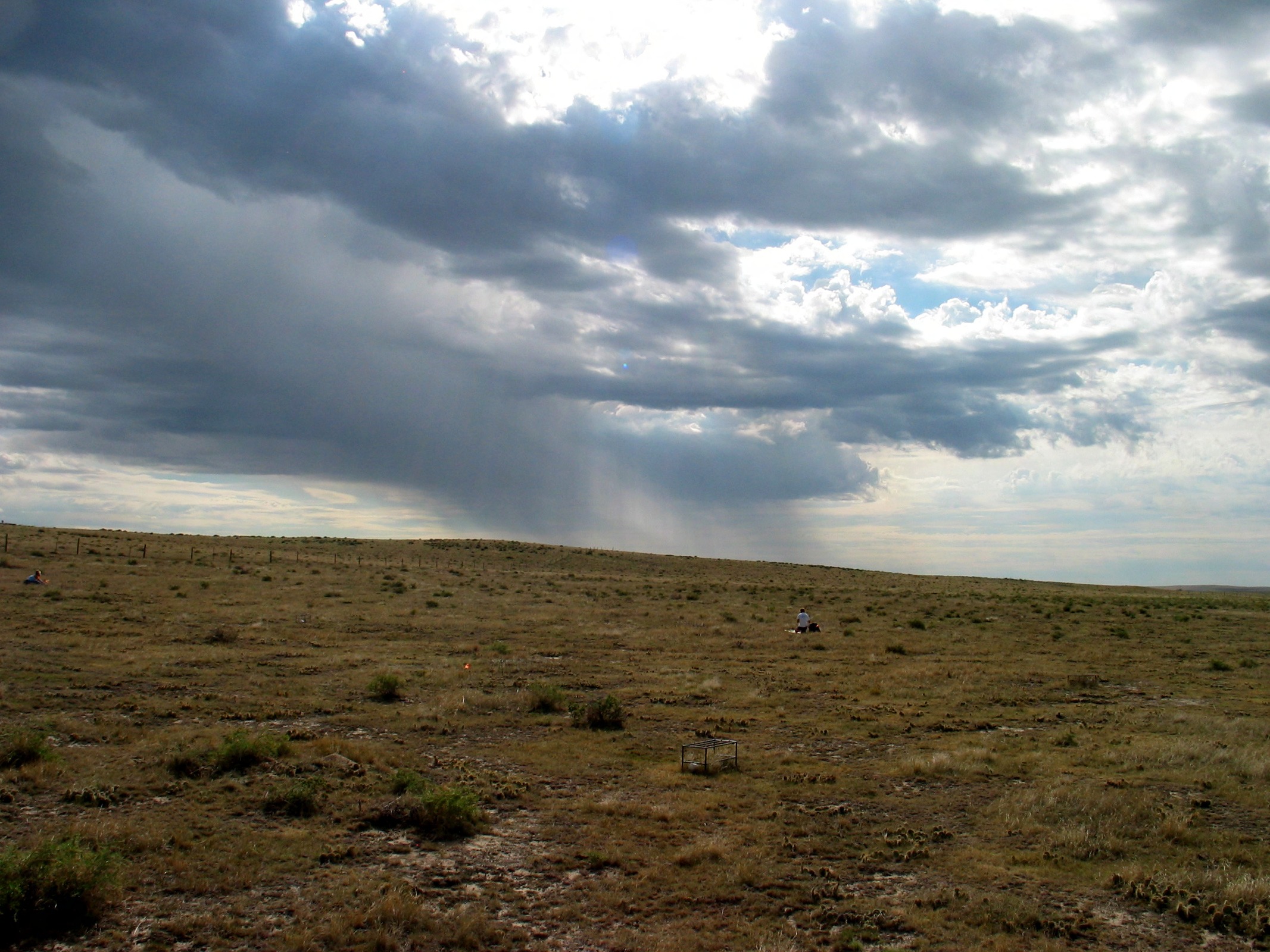 Rainstorm