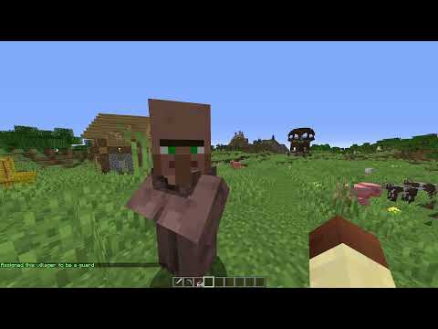 Nations and Villages Plugin - Guards