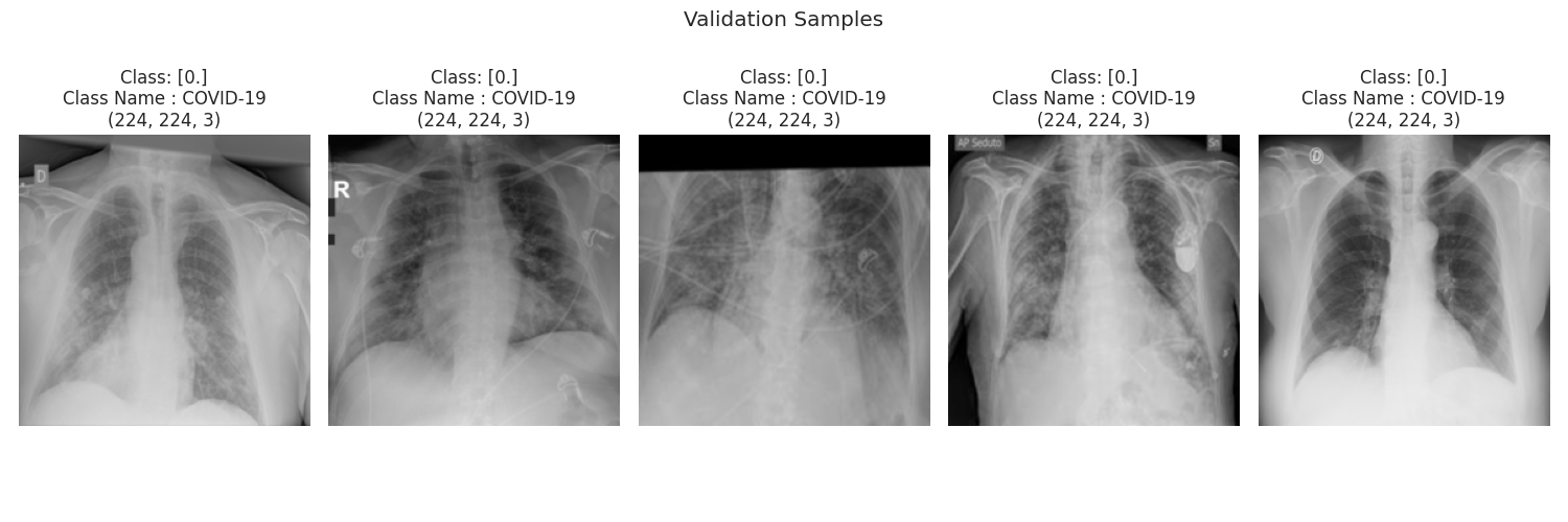 Samples from the Validation Datasets