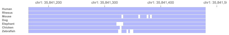 Orthologs