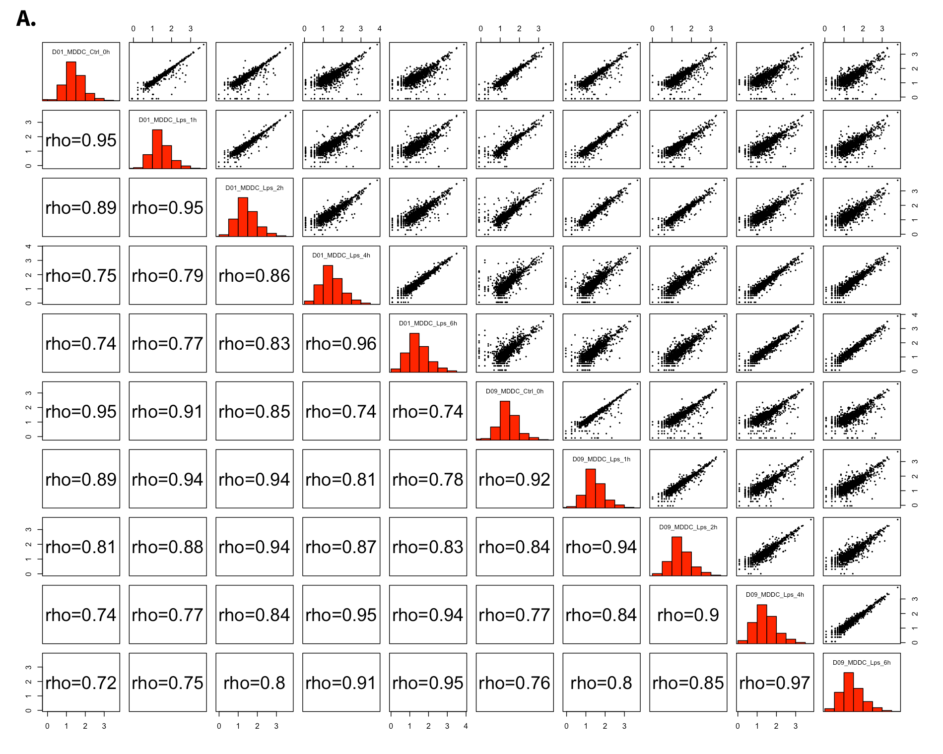 Figure 33. example all2all before