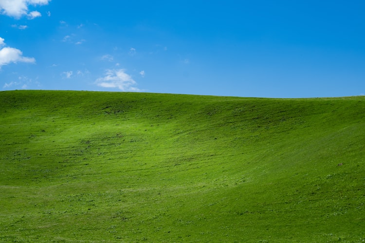 Green Landscape Windows XP