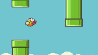 Flappy Bird Screenshot