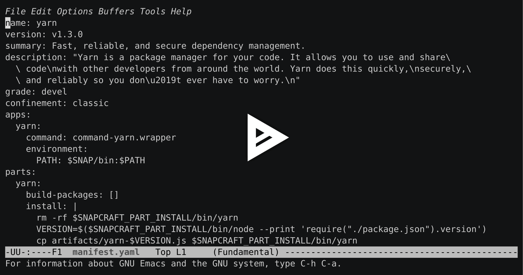 asciicast