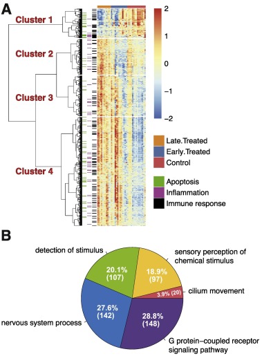 Clustering