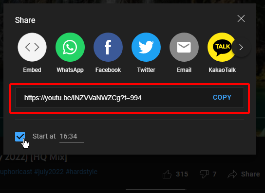 An image showing Youtube's "share" function with the timestamp option ticked.