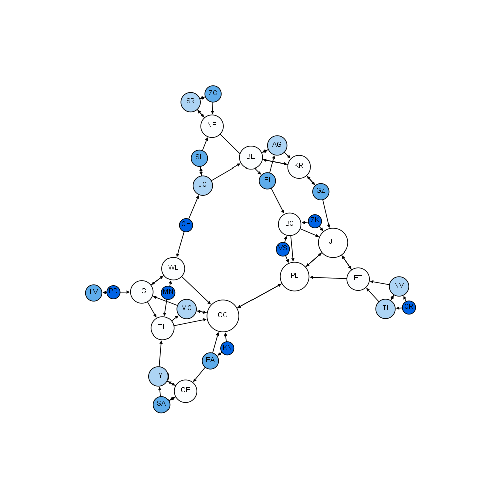 Moreno Sociogram